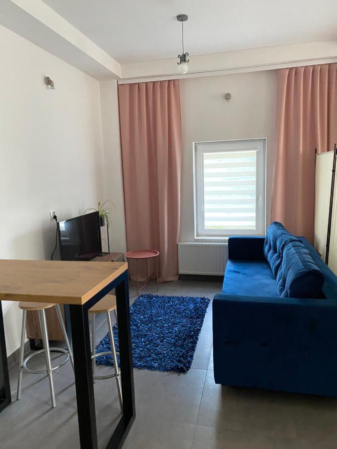 Apartamenty Pod Wierzbami Dwikozy Extérieur photo