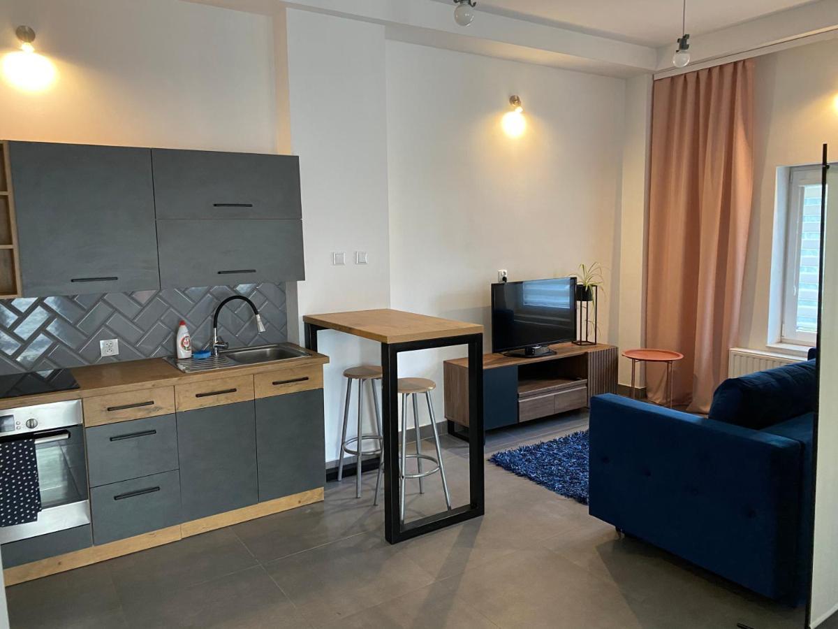 Apartamenty Pod Wierzbami Dwikozy Extérieur photo